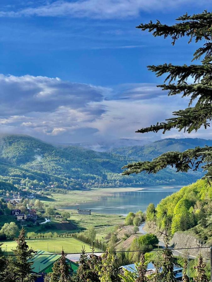 Lakeview Hotel & Apartments Mavrovo-Nationalpark Exterior foto